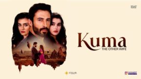 مسلسل الزوجة الاخرى الحلقة 34 مترجمة